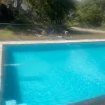 Cabana Las Trancas
